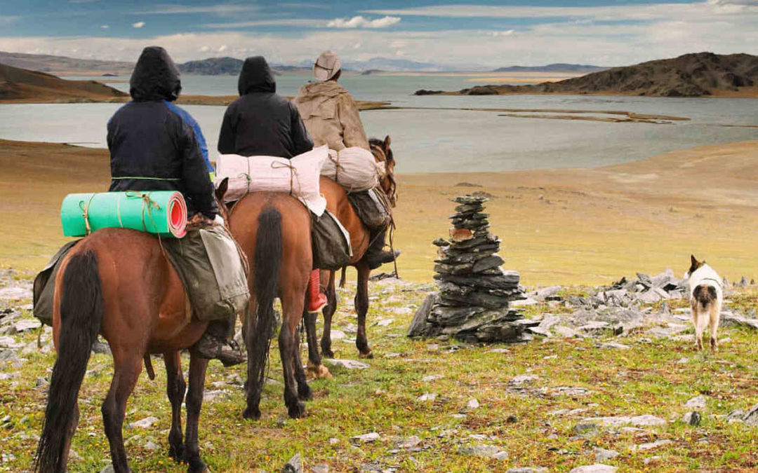 Macron entra nel mondo dell'equitazione